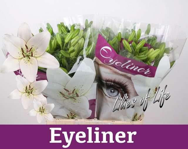 Eyeliner лилия фото и описание